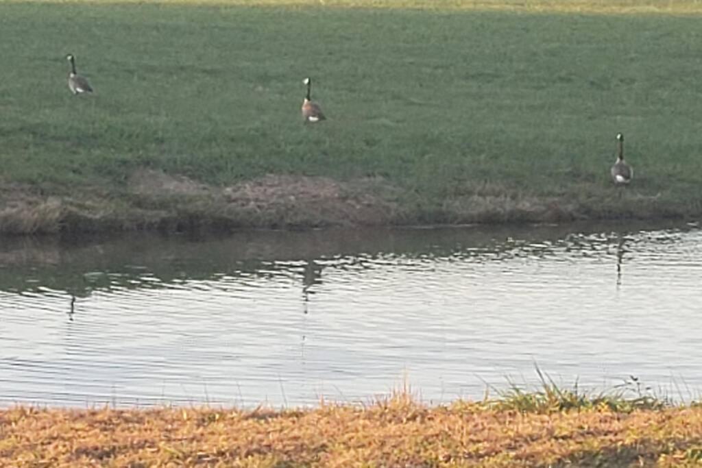 Little House By The Pond Βίλα Oneida Εξωτερικό φωτογραφία